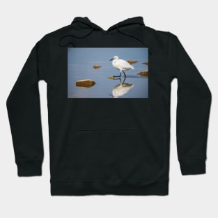 Reflection Hoodie